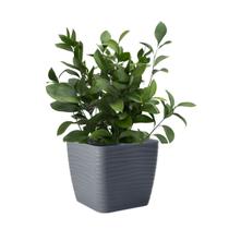 Vaso Quadrado Dunas Para Plantas Decoração Luxo 2,9L