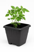 Vaso Quadrado Plástico 5,5L Jardim Horta Flor Preta