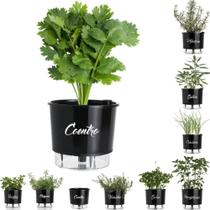 Vaso Raiz Auto Irrigável 16X14 Autoirrigável Preto Temperos
