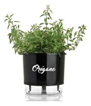 Vaso Raiz Auto Irrigável Gourmet 16Cm Autoirrigável Te Oréga