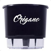 Vaso Raiz Auto Irrigável Gourmet 16cm Autoirrigável Temperos