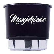 Vaso Raiz Auto Irrigável Gourmet 16cm Manjericao Preto Raiz