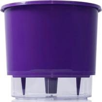 Vaso Raiz Auto Irrigável Médio Roxo Temperos Envio Imediato