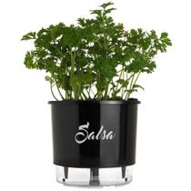 Vaso Raiz Autoirrigável N3 Preto Salsa Temperos Oferta