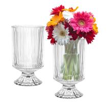 Vaso Redondo Vidro Graffiato Transparente Decorativo Para Plantas e Flores 18cm Vaso Redondo Vidro Graffiato Transparente Decorativo Para Plantas e Flores 18cm