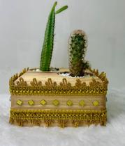 Vaso rustico luxo Terrario duplo de madeira de cactos naturais Vaso rustico luxo Terrario duplo de madeira de cactos naturais
