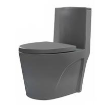 Vaso Sanitário Bacia Monobloco Caixa Acoplada Privada Cinza Vaso Sanitário Bacia Monobloco Caixa Acoplada Privada Cinza