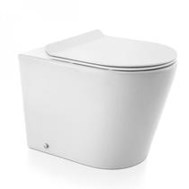 Vaso Sanitário Convencional com Assento Liss Docol Branco