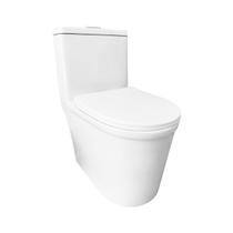 Vaso Sanitário Monobloco Caixa Acoplada Branco R580 RENO