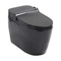 Vaso Sanitário Monobloco Caixa Acoplada Privada Bidê Celestita Pingoo.casa - Preto