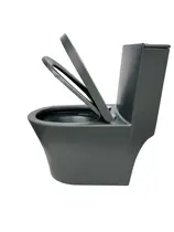 Vaso Sanitário Monobloco Caixa Acoplada Privada Madrid Cinza