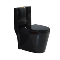 Vaso Sanitário Monobloco Prizi Cerâmica com Kit Completo e Caixa Acoplada - 2081 - Preto Brilhante