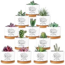 Vaso SEEWEY 12 peças de vasos suculentos de cerâmica com bandejas de bambu de 8x6 cm