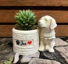 Vaso Suculenta Cachorro Nome Do Seu Pet Presente Decoração - MarxGreg 3D