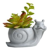 Vaso suculenta Caramujo 7,5x13x8cm cinza -L Hermitage
