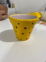 Vaso suculenta Vaso suculenta