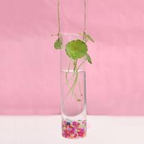 Vaso suspenso em forma de tubo hidropônico de vidro - Generic