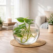 Vaso Tipo Aquário De Vidro Vaso Redondo 2,2 Litros Decorativo para Arranjos e Terrários Vaso Tipo Aquário De Vidro Vaso Redondo 2,2 Litros Decorativo para Arranjos e Terrários