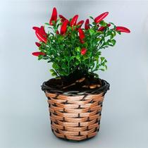 Vaso Trançado com Galhos de Pimenteira Artificial