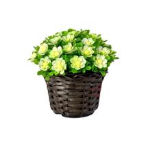 Vaso Trançado com Planta Meia Bola Artificial - Decoração Vaso Trançado com Planta Meia Bola Artificial - Decoração