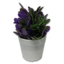 Vaso Vasinho Decorativo Suculenta Planta Artificial Cor 3 Vaso Vasinho Decorativo Suculenta Planta Artificial Cor 3