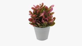 Vaso Vasinho Decorativo Suculenta Planta Artificial Cor 5 Vaso Vasinho Decorativo Suculenta Planta Artificial Cor 5