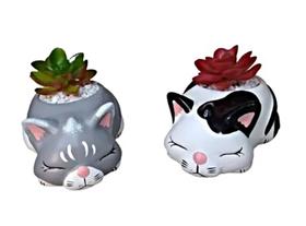 Vaso Vasinho Suculenta Gato Deitado de Ceramica KIT 2 PEÇAS - Decore Casa Vaso Vasinho Suculenta Gato Deitado de Ceramica KIT 2 PEÇAS - Decore Casa