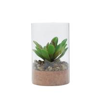 Vaso Vidro Com Planta Artificial Life Terrarium Transparente 7,8X7,8X12 cm