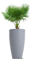 Vaso Vietnamita 50 Cinza Claro