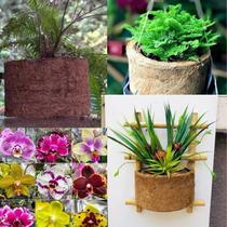 Vasos de Fibra de Coco ecologico tipo xaxim N3 - 21cm Gold Plant Vasos de Fibra de Coco ecologico tipo xaxim N3 - 21cm Gold Plant