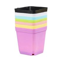 Vasos De Flores Mini Quadrados Em Sete Cores 10PCS Pequenos Vasos De Plástico Para Suculentas