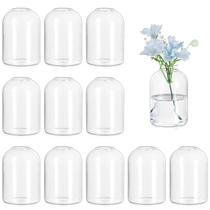 Vasos Glass Bud Vases Hewory, conjunto de 12 vasos pequenos transparentes