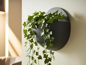 Vasos para plantas esféricos de parede Vasos para plantas esféricos de parede