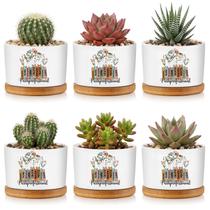 Vasos para plantas Havawish 6 peças cerâmica mini 8 cm x 5,5 cm Vasos para plantas Havawish 6 peças cerâmica mini 8 cm x 5,5 cm