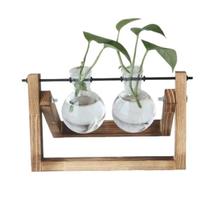 Vasos Para Plantas Hidroponia DUPLO Decoração Sala Escritório