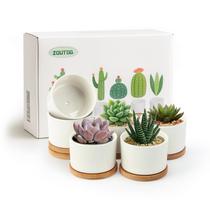 Vasos para suculentas ZOUTOG 6 unidades brancos de cerâmica 8 cm Vasos para suculentas ZOUTOG 6 unidades brancos de cerâmica 8 cm
