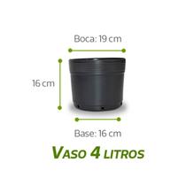Vasos Plástico flexíveis Para Mudas 4 Litros Vasos Plástico flexíveis Para Mudas 4 Litros