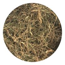 Vassourinha Doce 100g (Erva Desidratada)