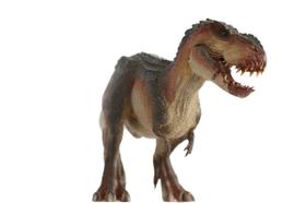 Vastatosaurus Nanmu Original Com Base De Crãnio - C/box