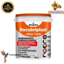 Veda Tudo Membrana Pu Para Trinca Fissura Uso Geral 500g Acabamento Brilhante Cor Incolor Sinteplast Veda Tudo Membrana Pu Para Trinca Fissura Uso Geral 500g Acabamento Brilhante Cor Incolor Sinteplast