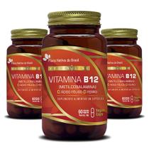 Vegan Vitamina B12 + Ferro + Ácido Fólico Kit 3x 60 Vegano Capsulas Cada - Flora Nativa