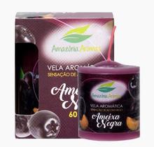 Vela Aromática Ameixa Negra Amazônia Aromas