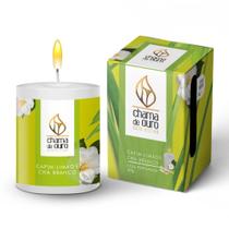 Vela Aromática Capim Limão e Chá Branco 60g Chama de Ouro Vela Aromática Capim Limão e Chá Branco 60g Chama de Ouro