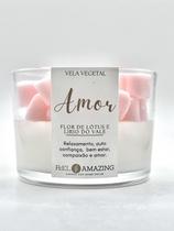 Vela Aromática Perfumada Premium Best Wishes Coleção Cera Vegetal 100g - Feel Amazing