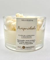 Vela Aromática Perfumada Premium Best Wishes Coleção Cera Vegetal 100g