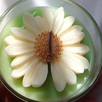Vela Aromática/ Resiliência / flor margarida / R&A Resina e Aroma