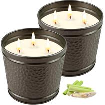 Vela de Citronela Aottom, Kit com 2 Unidades, Grande, 3 Pavios, Cera de Soja
