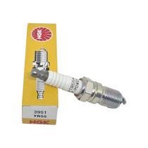 Vela de Ignição TR55 Ranger 4.0 V6 Explorer - NGK