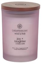 Vela perfumada Chesapeake Bay Candle Joy + Laughter Medium Vela perfumada Chesapeake Bay Candle Joy + Laughter Medium