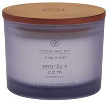 Vela perfumada Chesapeake Bay Candle Serenity + Calm